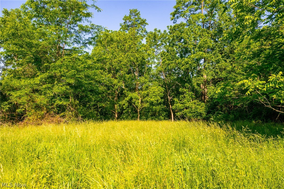 12680 Old Riley Road, Unit 5 Frazeysburg, OH 43822 - Photo 9 of 44