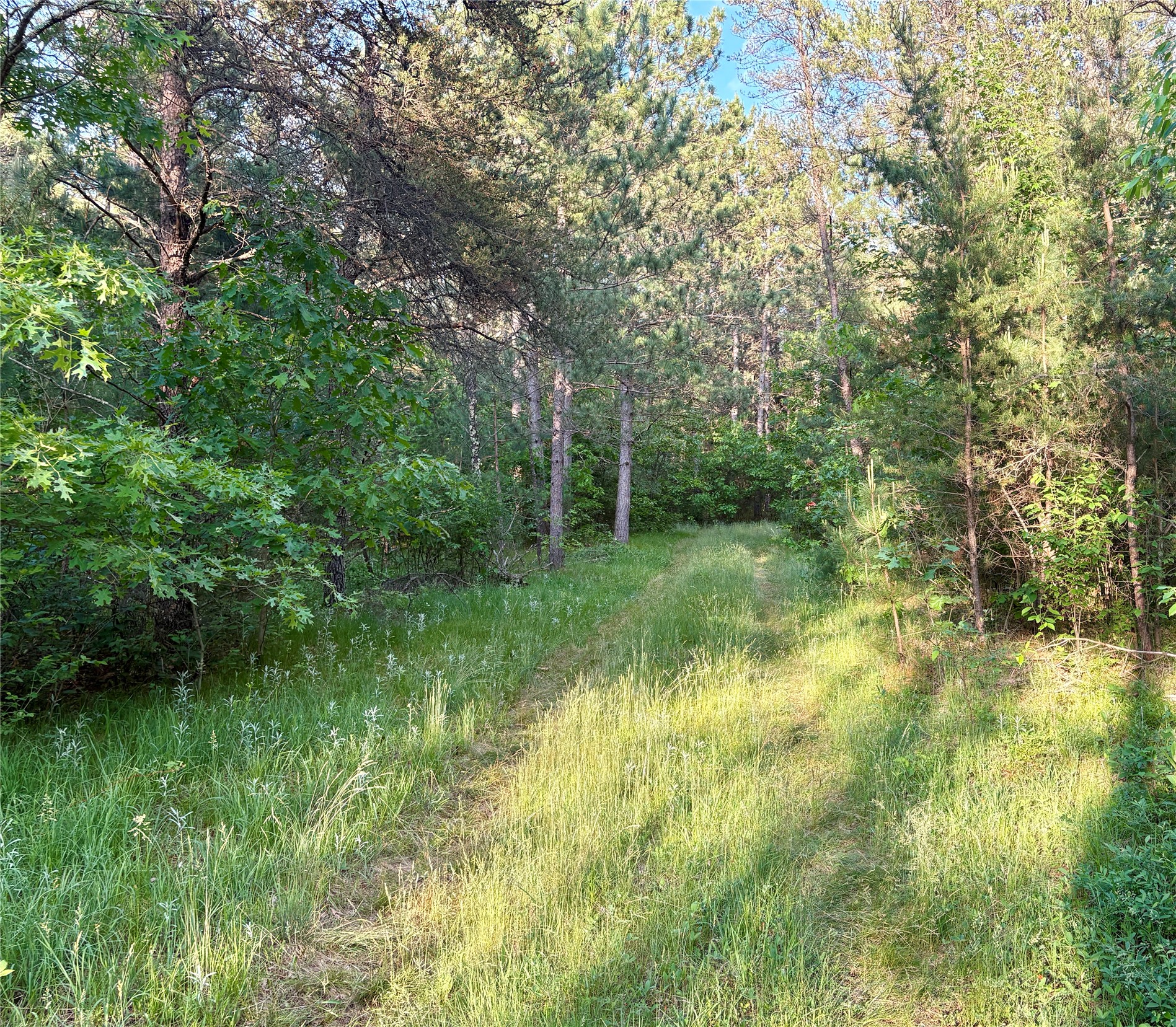 0 Cty Road Augusta, WI 54722 - Photo 43 of 53