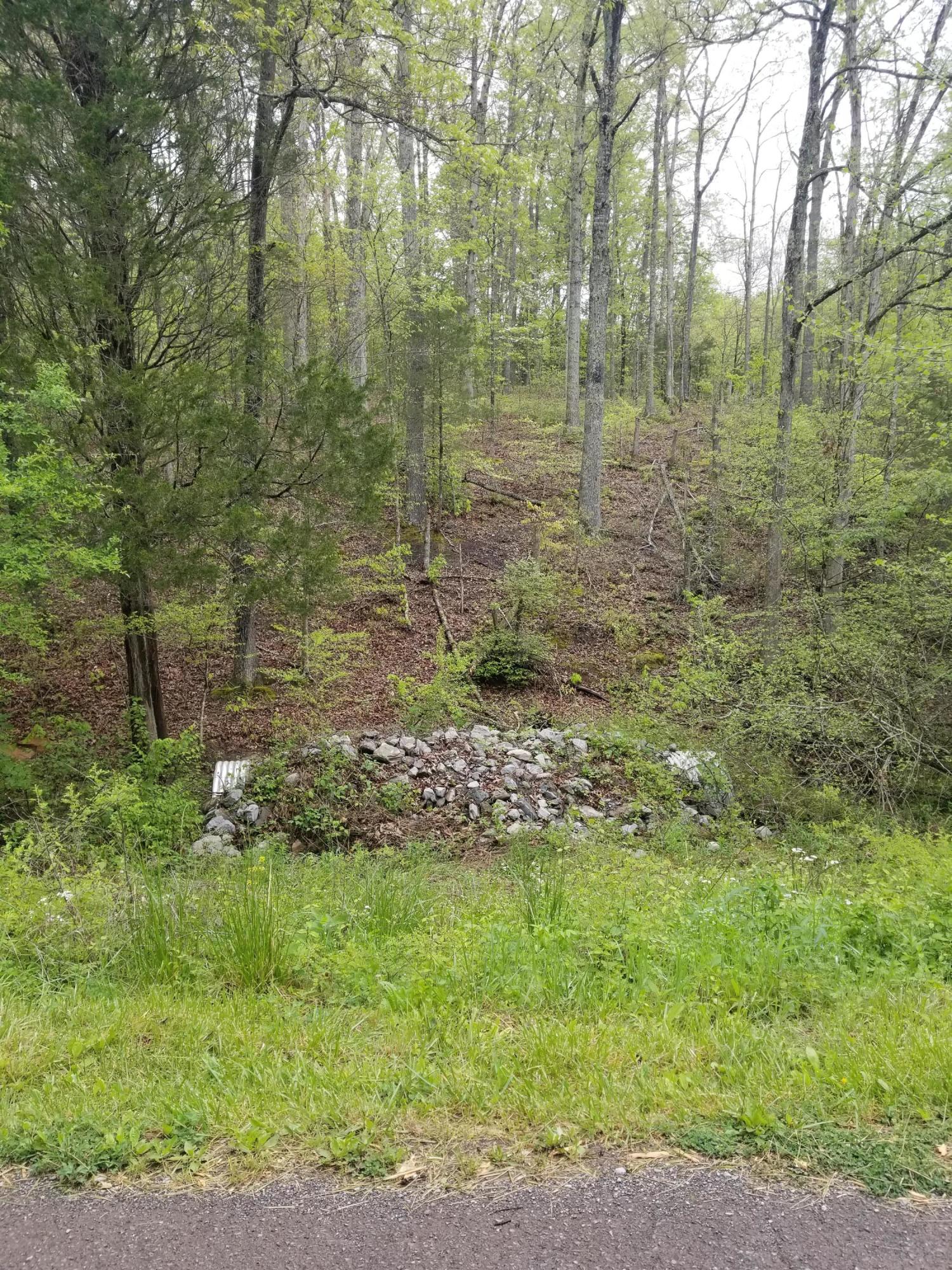 Bales Road Knoxville, TN 37914 - Photo 1 of 18 20200424_103757