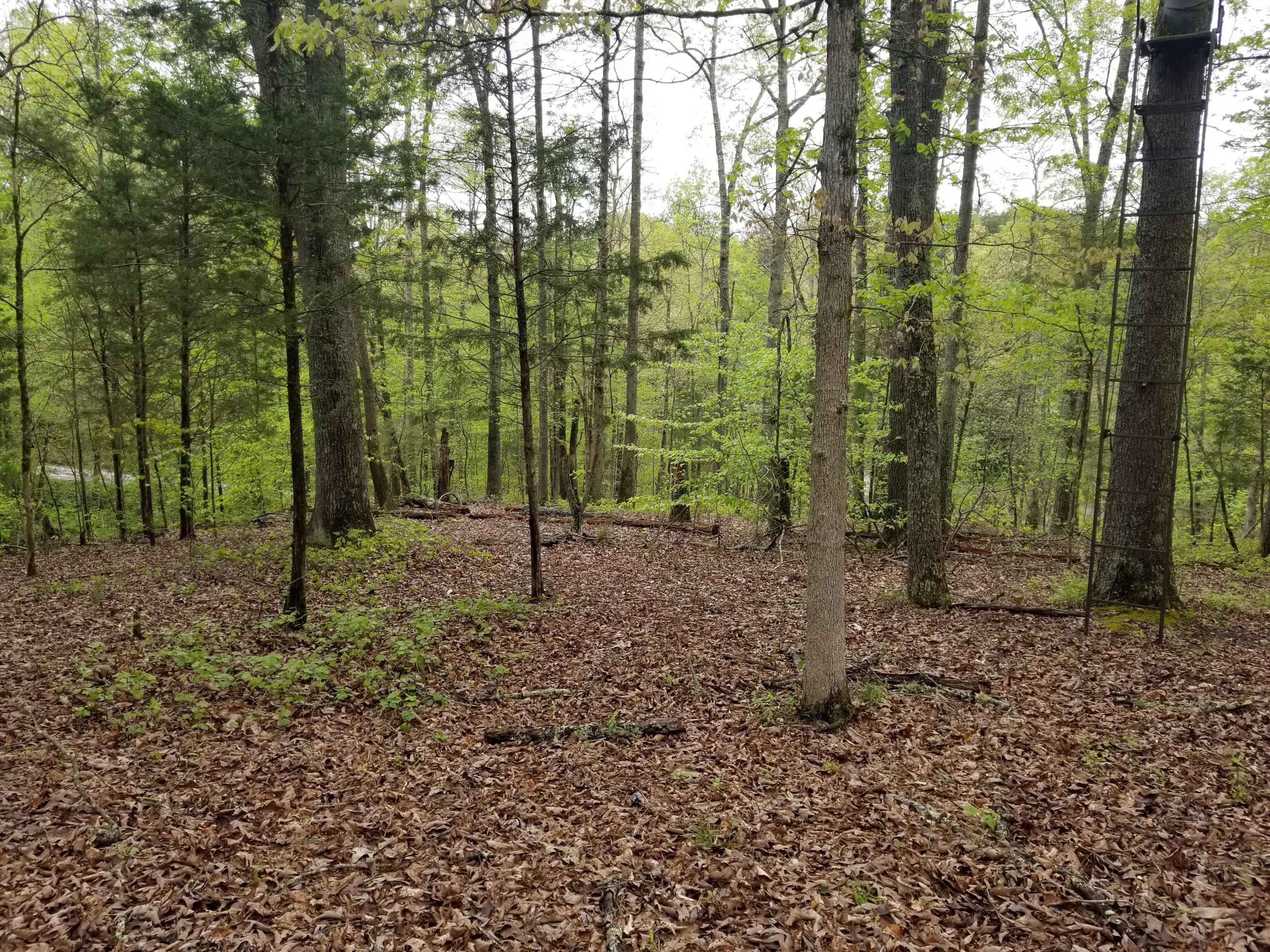 Bales Road Knoxville, TN 37914 - Photo 12 of 18 20200424_112642