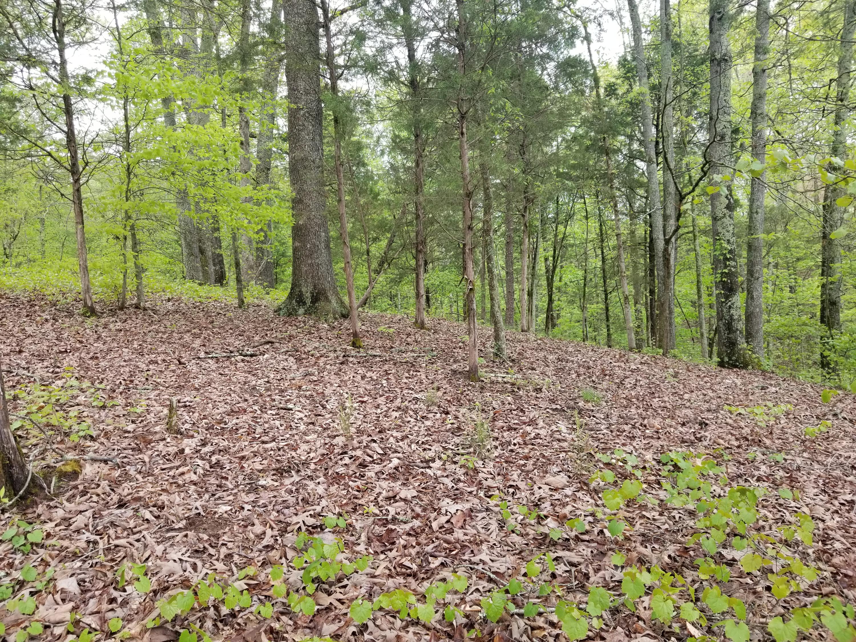 Bales Road Knoxville, TN 37914 - Photo 13 of 18 20200424_112716