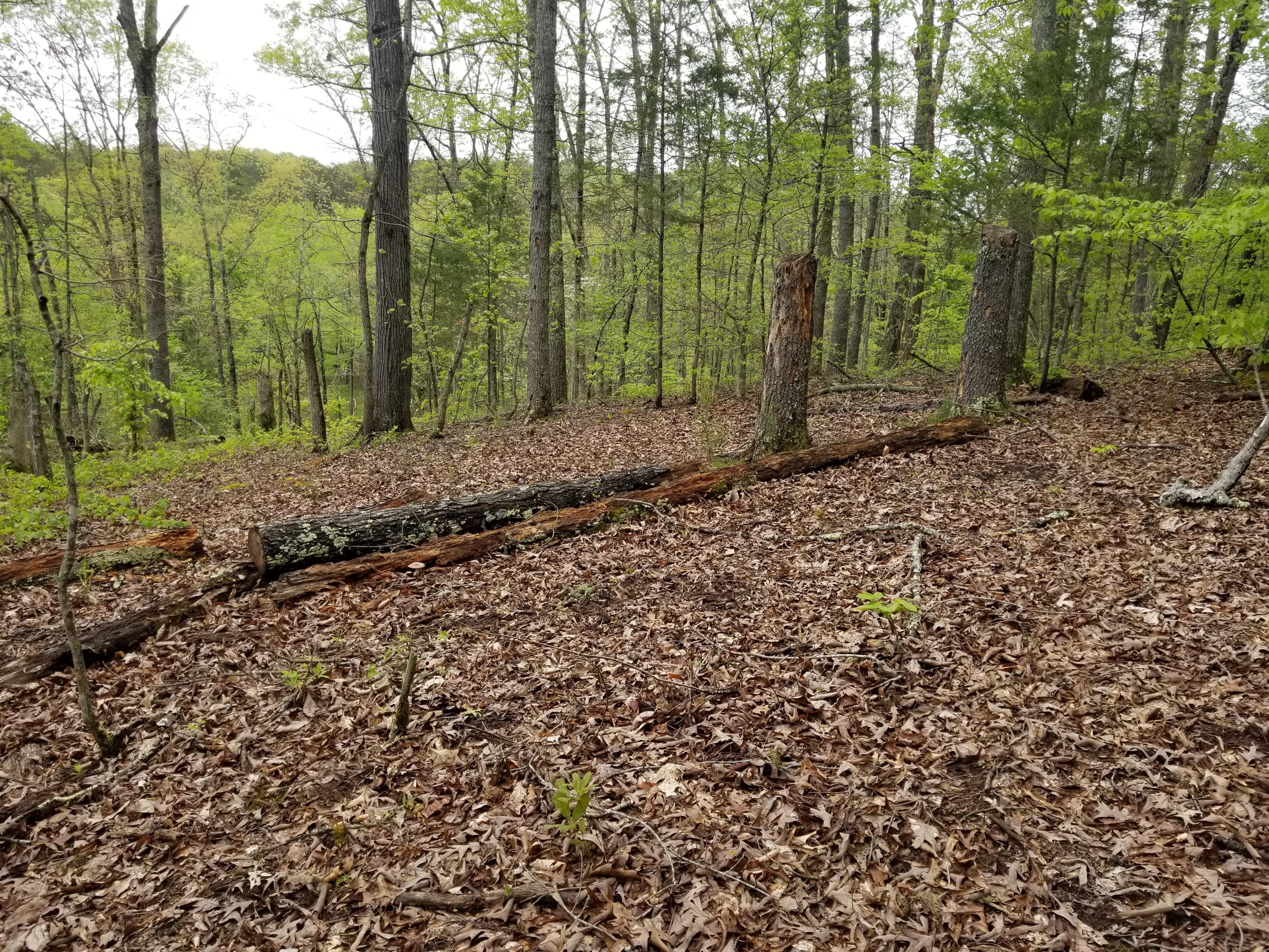 Bales Road Knoxville, TN 37914 - Photo 15 of 18 20200424_112828
