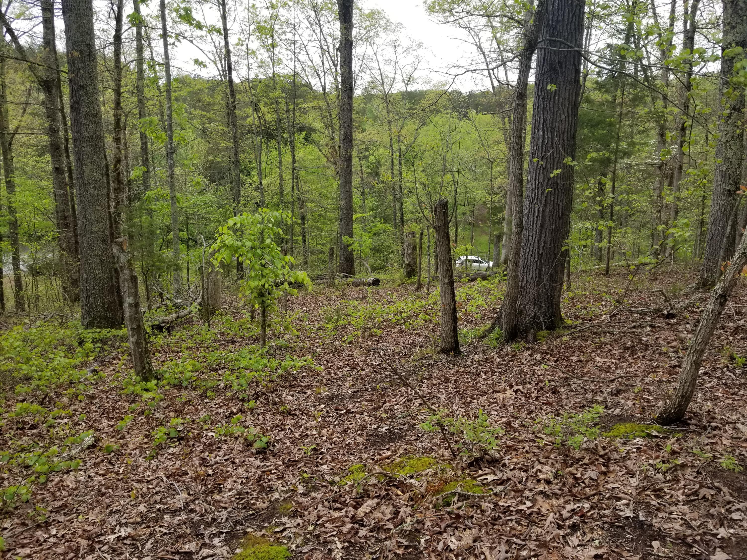 Bales Road Knoxville, TN 37914 - Photo 16 of 18 20200424_112859