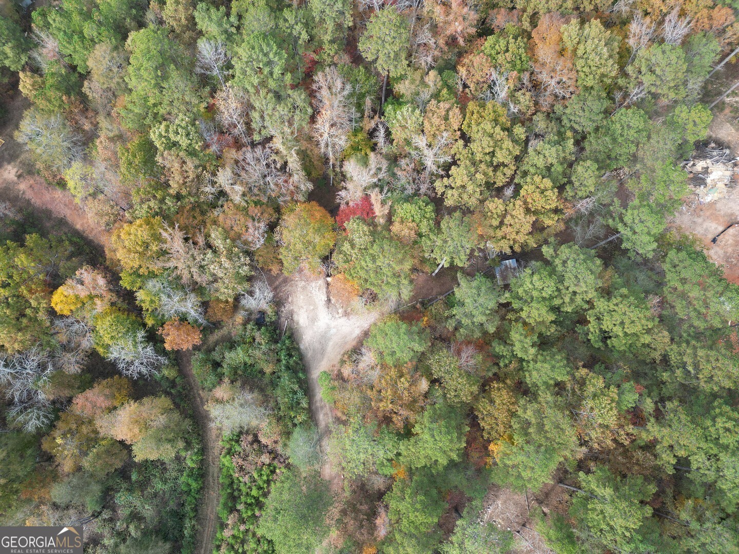 0 Herds Creek Road Monticello, GA 31064 - Photo 12 of 16 a close up of a tree