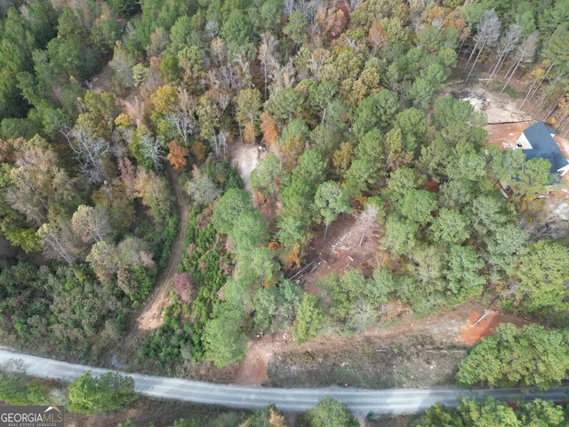an aerial view of forest