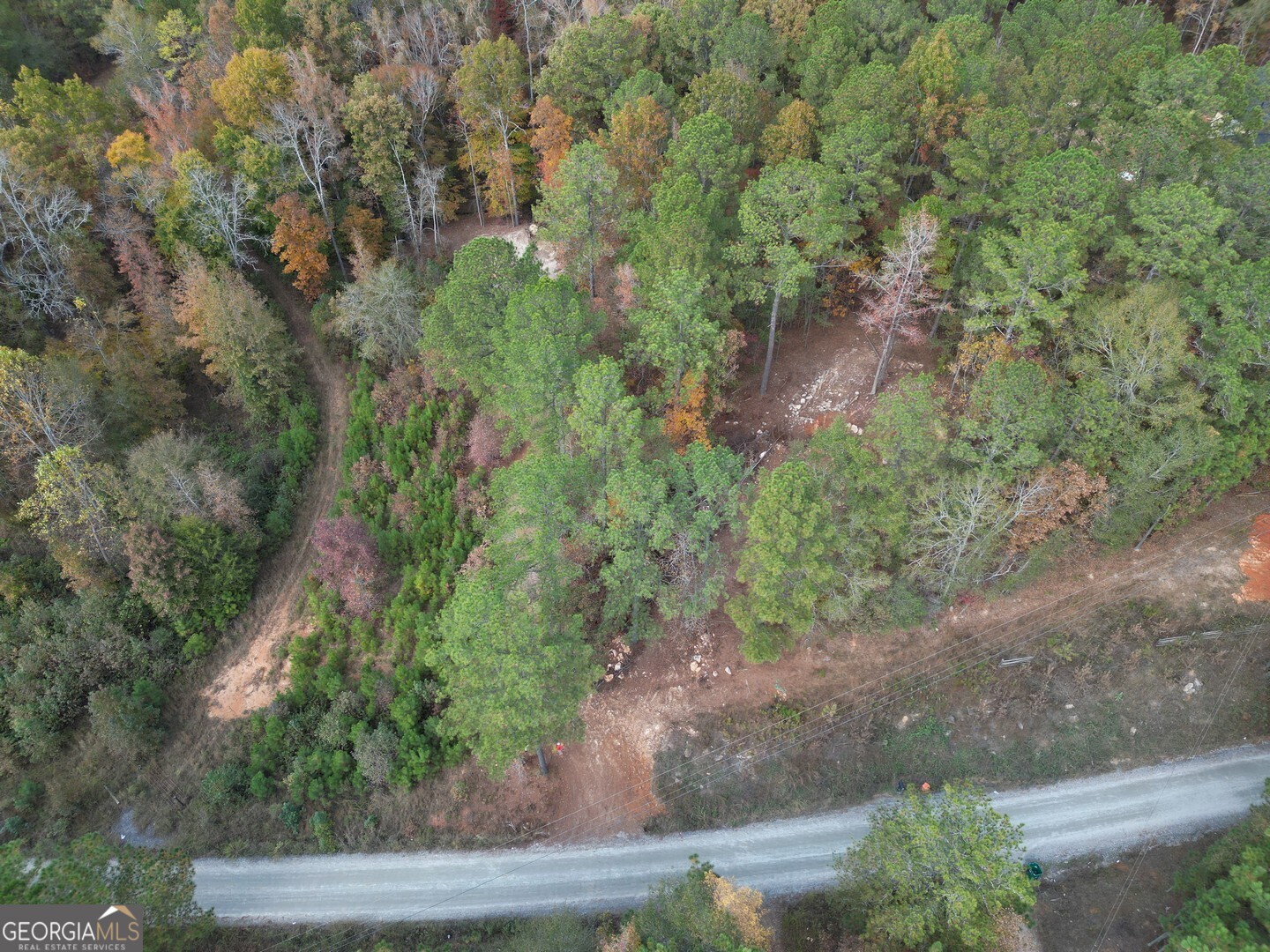 0 Herds Creek Road Monticello, GA 31064 - Photo 15 of 16 a view of a yard with plants and a bench