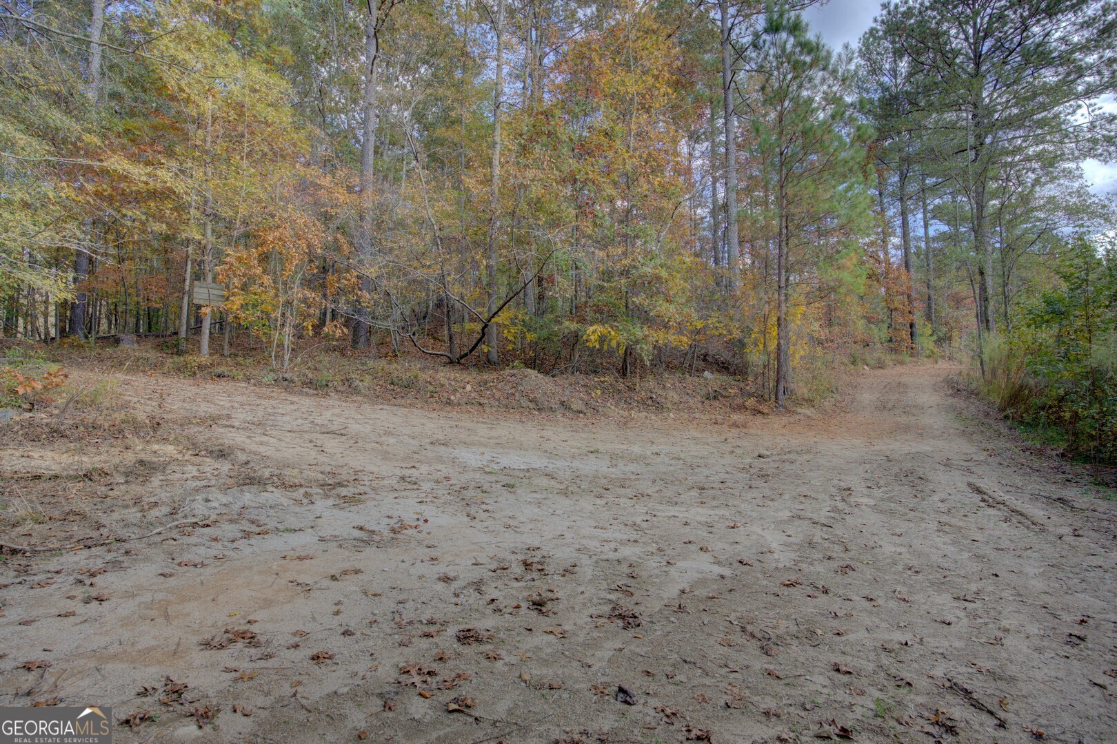 0 Herds Creek Road Monticello, GA 31064 - Photo 3 of 16 a view of a dry yard with trees