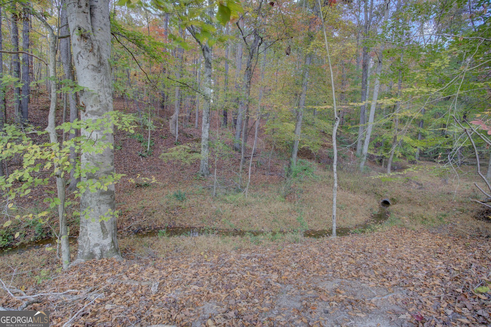 0 Herds Creek Road Monticello, GA 31064 - Photo 4 of 16 a view of a yard with trees