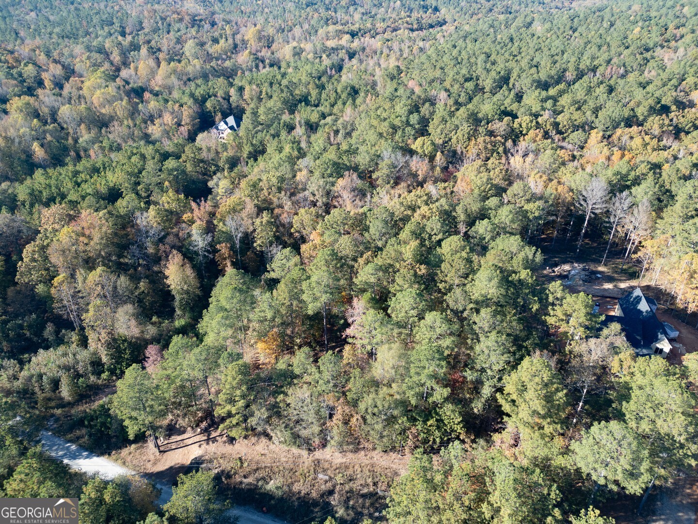 0 Herds Creek Road Monticello, GA 31064 - Photo 7 of 16 a view of a forest with a tree