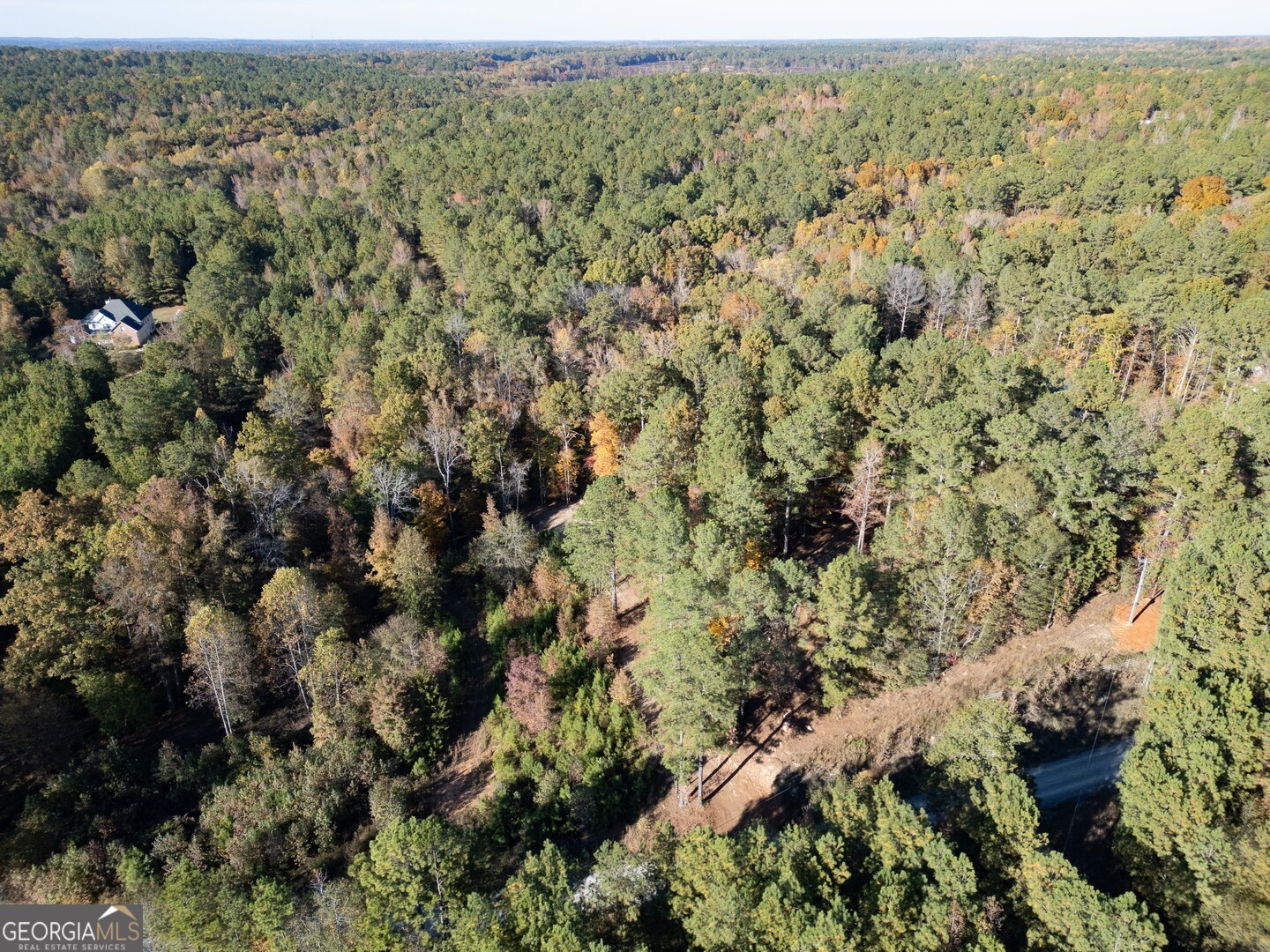 0 Herds Creek Road Monticello, GA 31064 - Photo 8 of 16