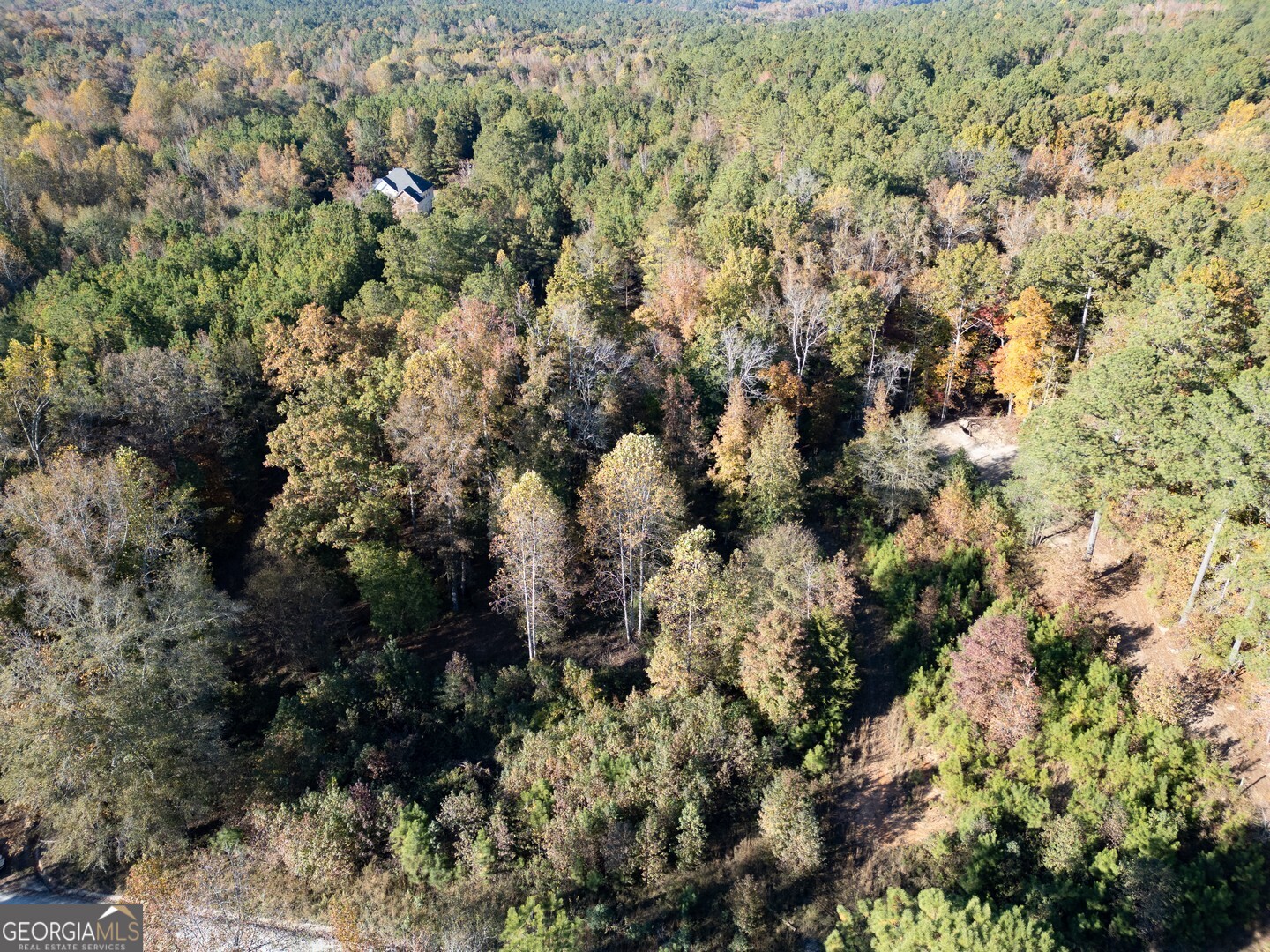 0 Herds Creek Road Monticello, GA 31064 - Photo 9 of 16 a view of electric and green space