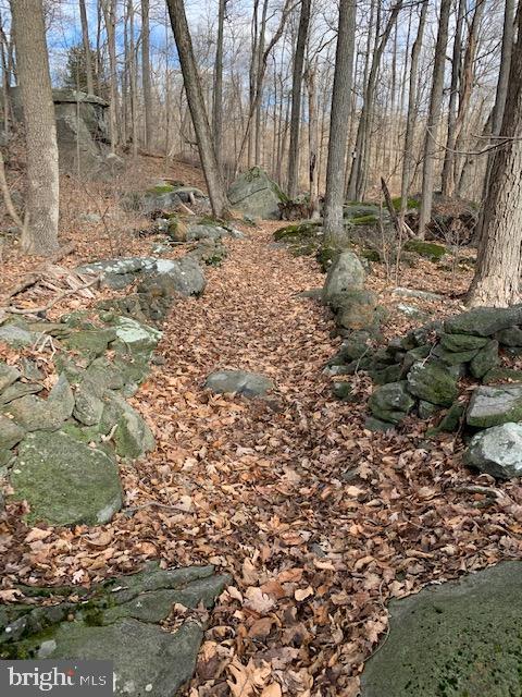224 Tower Road Sellersville, PA 18960 - Photo 2 of 26 private hiking trails