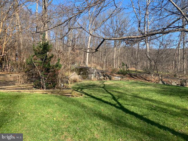 224 Tower Road Sellersville, PA 18960 - Photo 9 of 26