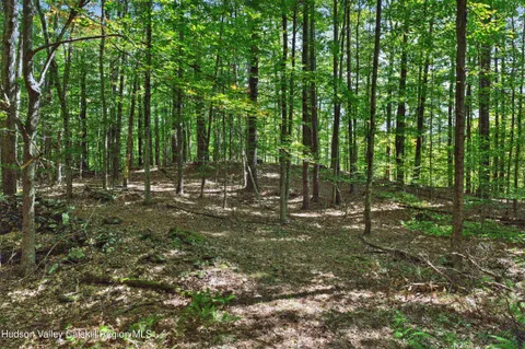 $1,200,000 | 214 Doman Road, Unit 3 LOTS, Freehold, NY 12431