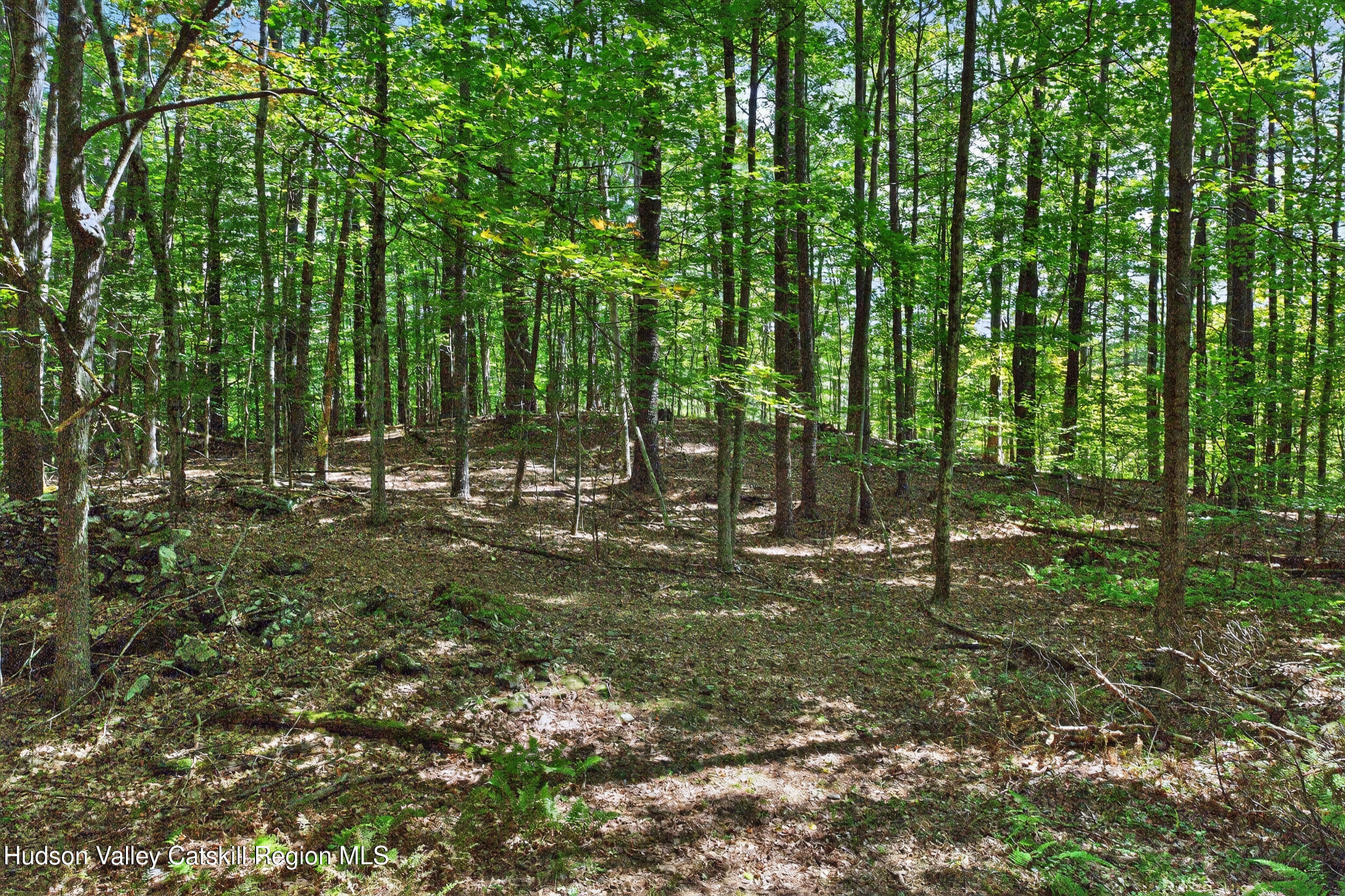 214 Doman Road Freehold, NY 12431 - Photo 45 of 54 33-print-214-doman-rd