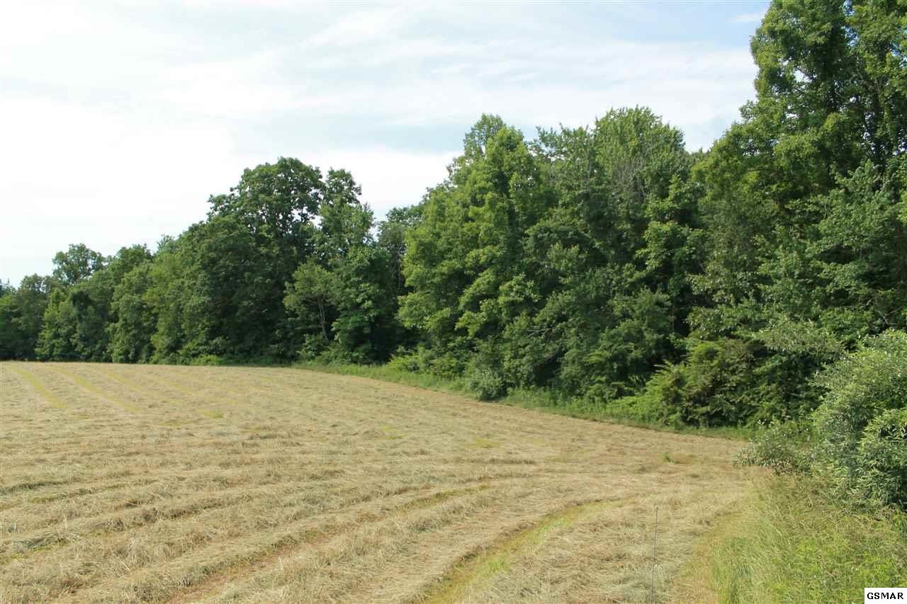 0 Jr Cox Road Lancing, TN 37770 - Photo 12 of 35 Gallery Image 12