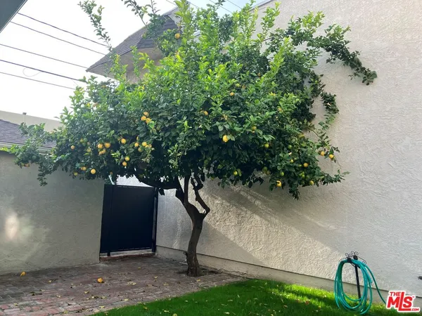 a view of backyard with green space