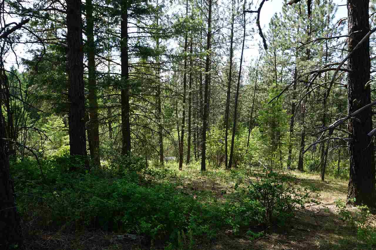 5345 Happy Hill Road Tumtum, WA 99034 - Photo 13 of 20 Gallery Image 13