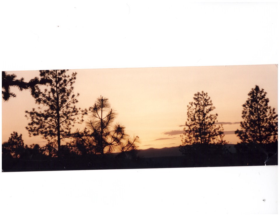 5345 Happy Hill Road Tumtum, WA 99034 - Photo 19 of 20 Gallery Image 19