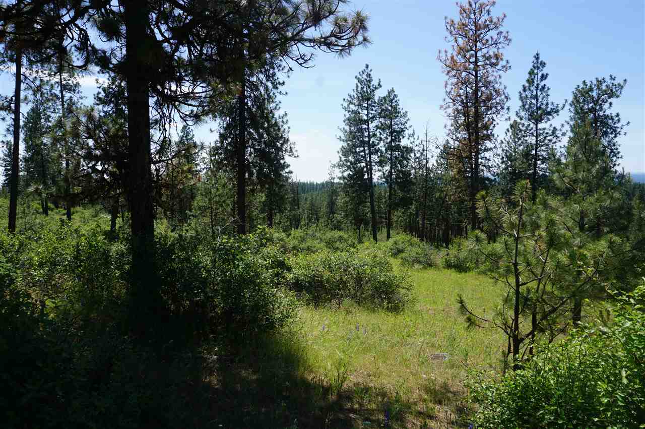 5345 Happy Hill Road Tumtum, WA 99034 - Photo 4 of 20 Gallery Image 4