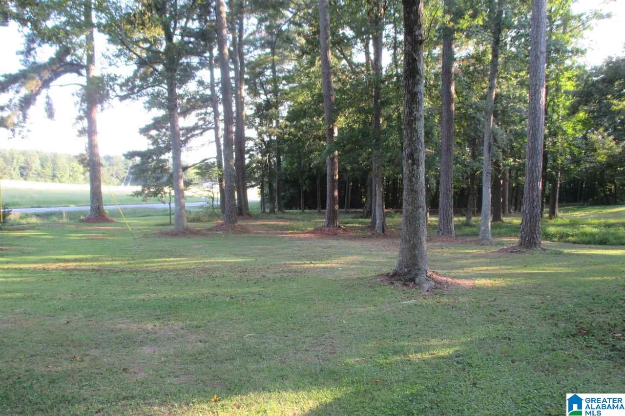 36757 Highway 75 Oneonta, AL 35121 - Photo 42 of 48 Gallery Image 42