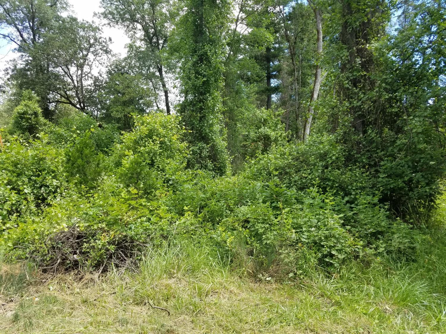 2000 Cedar Flat Road Williams, OR 97544 - Photo 14 of 14 Additional Photo