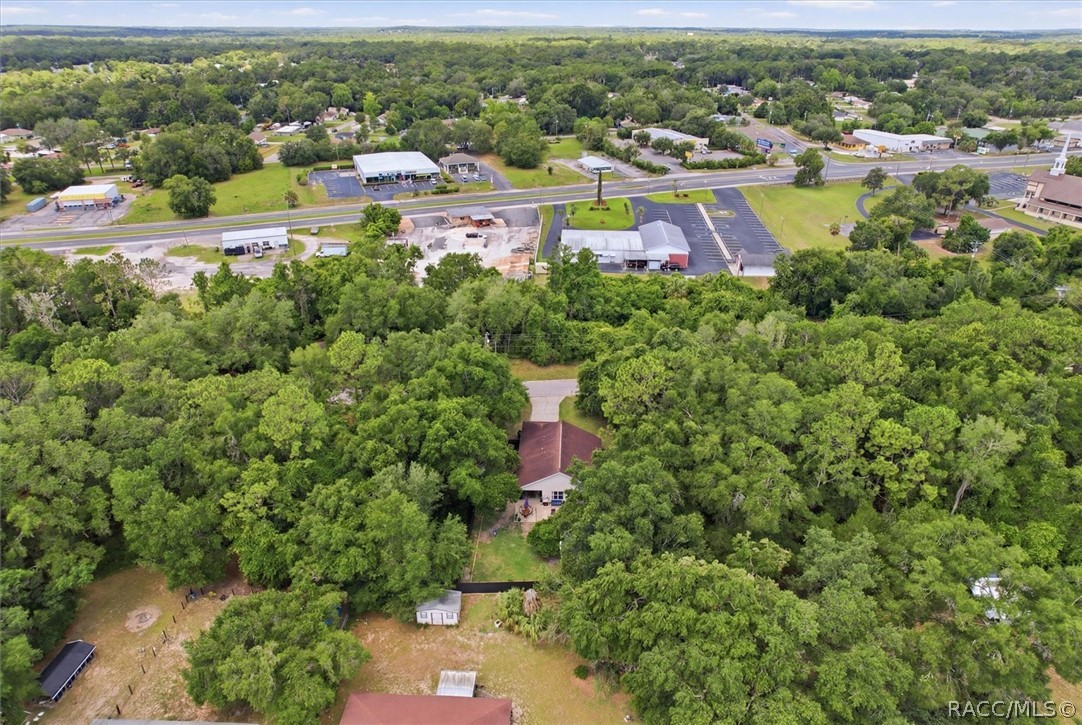 1038 Purdue Terrace Inverness, FL 34450 - Photo 41 of 44