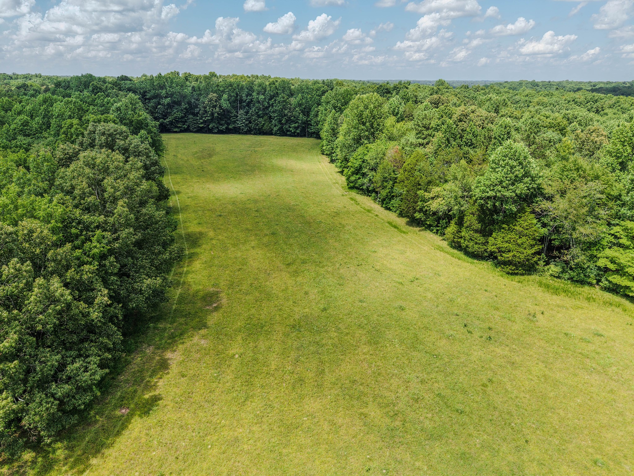 215 Clear Creek Road Leoma, TN 38468 - Photo 1 of 13