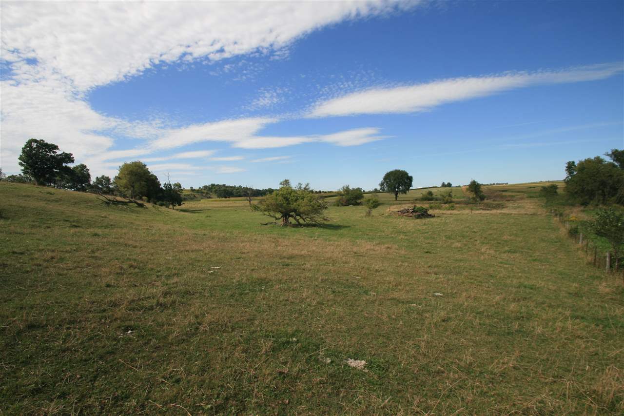 296-acres Gunder Road Postville, IA 52162 - Photo 16 of 21 Gallery Image 16