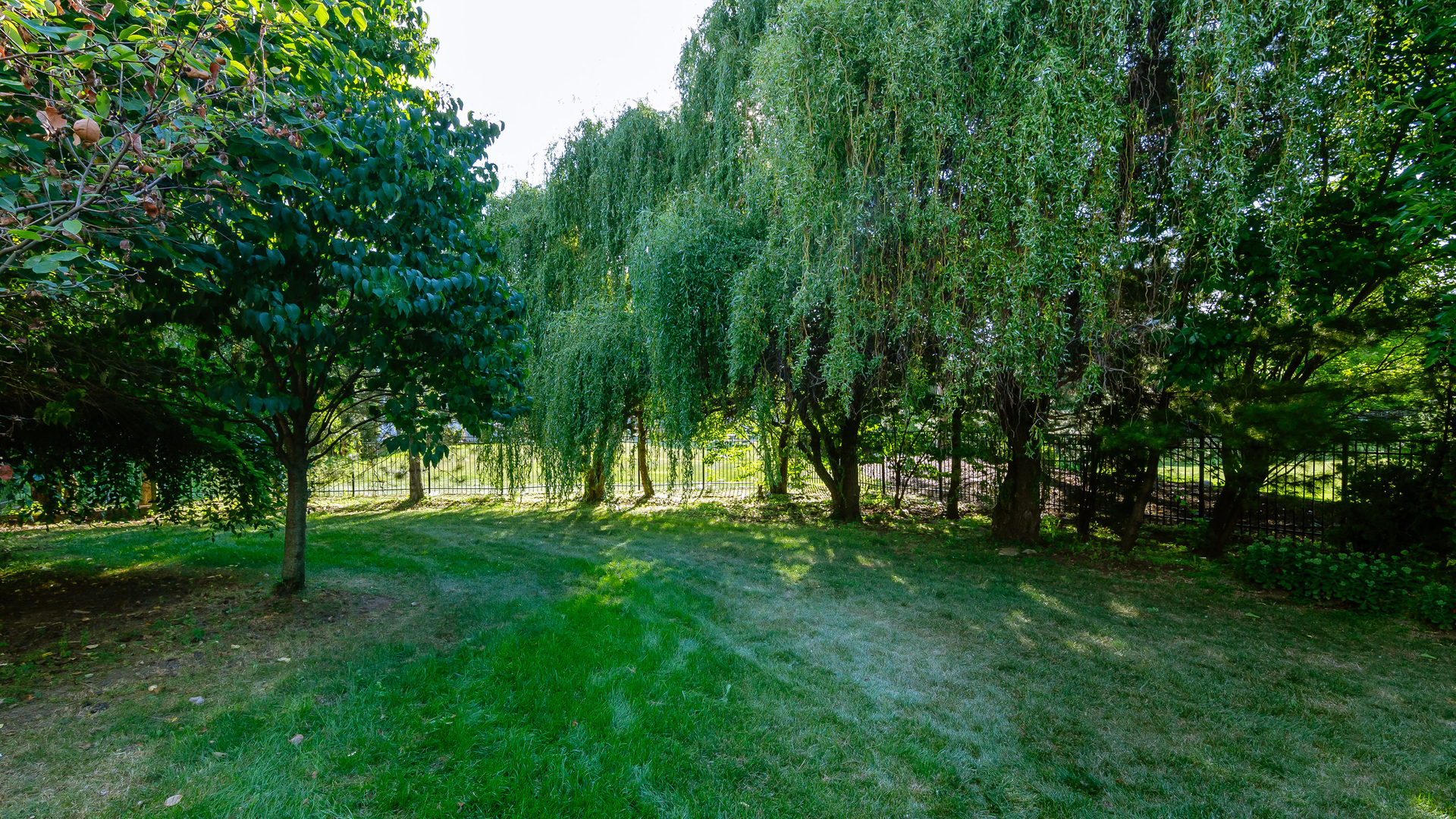 6919 Fieldstone Drive Burr Ridge, IL 60527 - Photo 53 of 58 a grassy field with a tree
