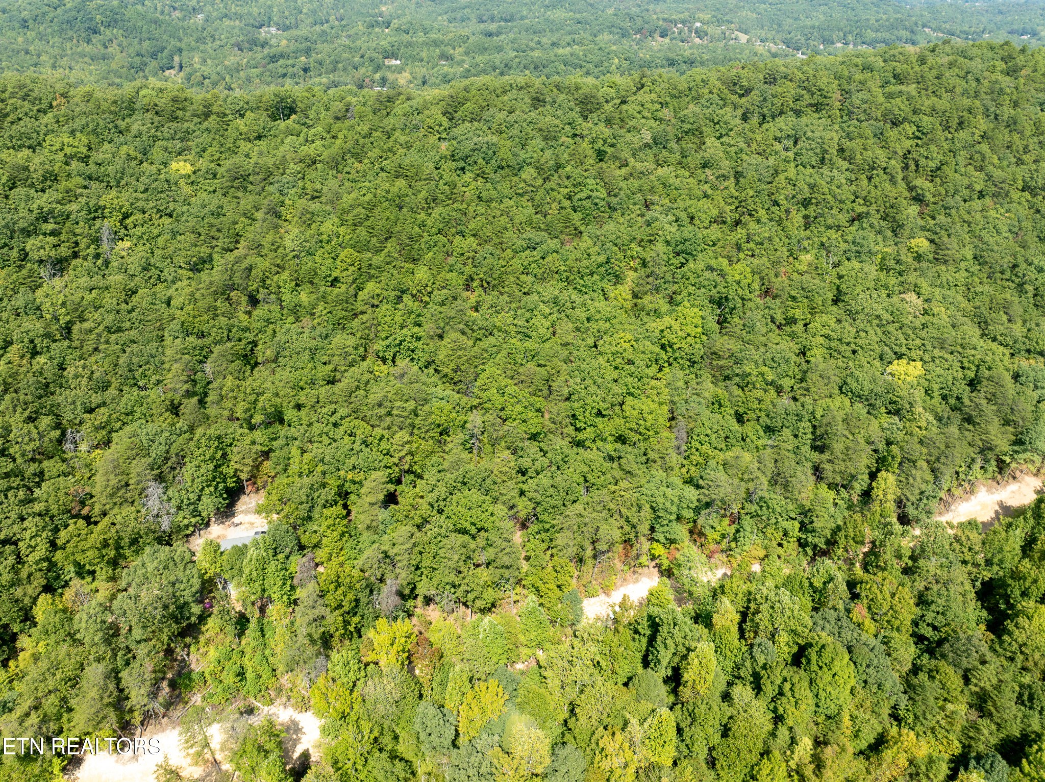 0 Butterfly Hollow Road Maryville, TN 37803 - Photo 13 of 16 Gallery Image 13