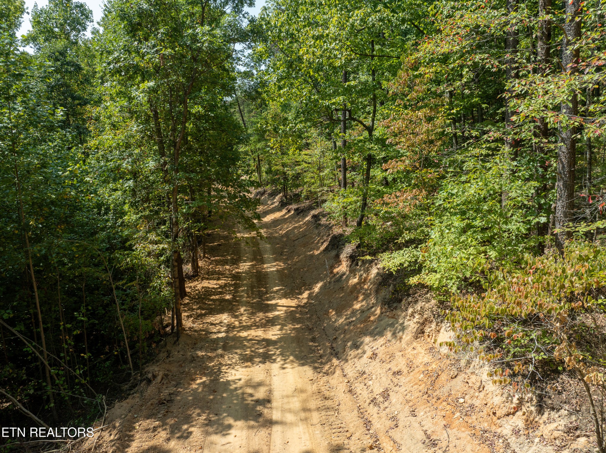 0 Butterfly Hollow Road Maryville, TN 37803 - Photo 3 of 16 Gallery Image 3