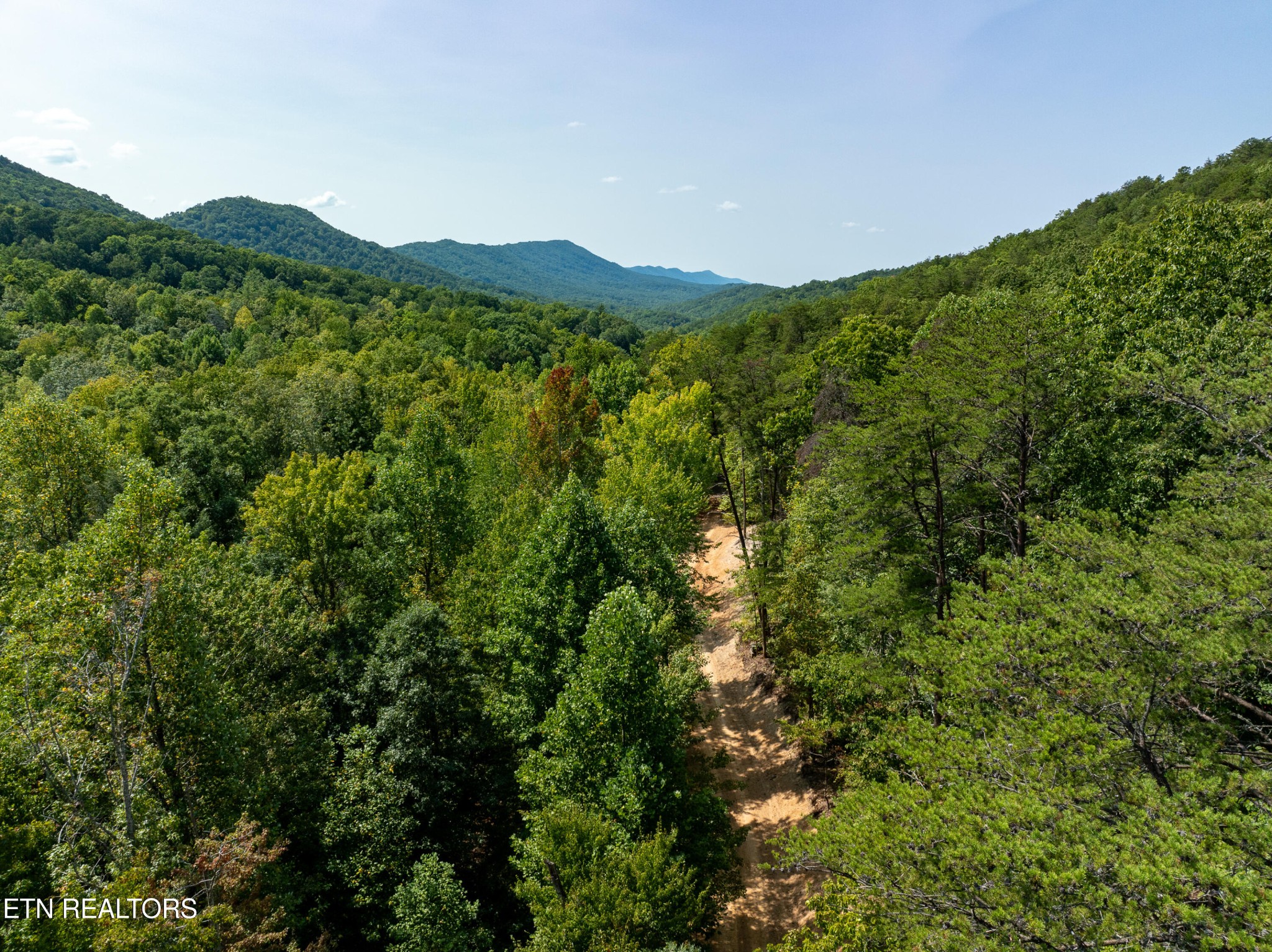 0 Butterfly Hollow Road Maryville, TN 37803 - Photo 4 of 16 Gallery Image 4