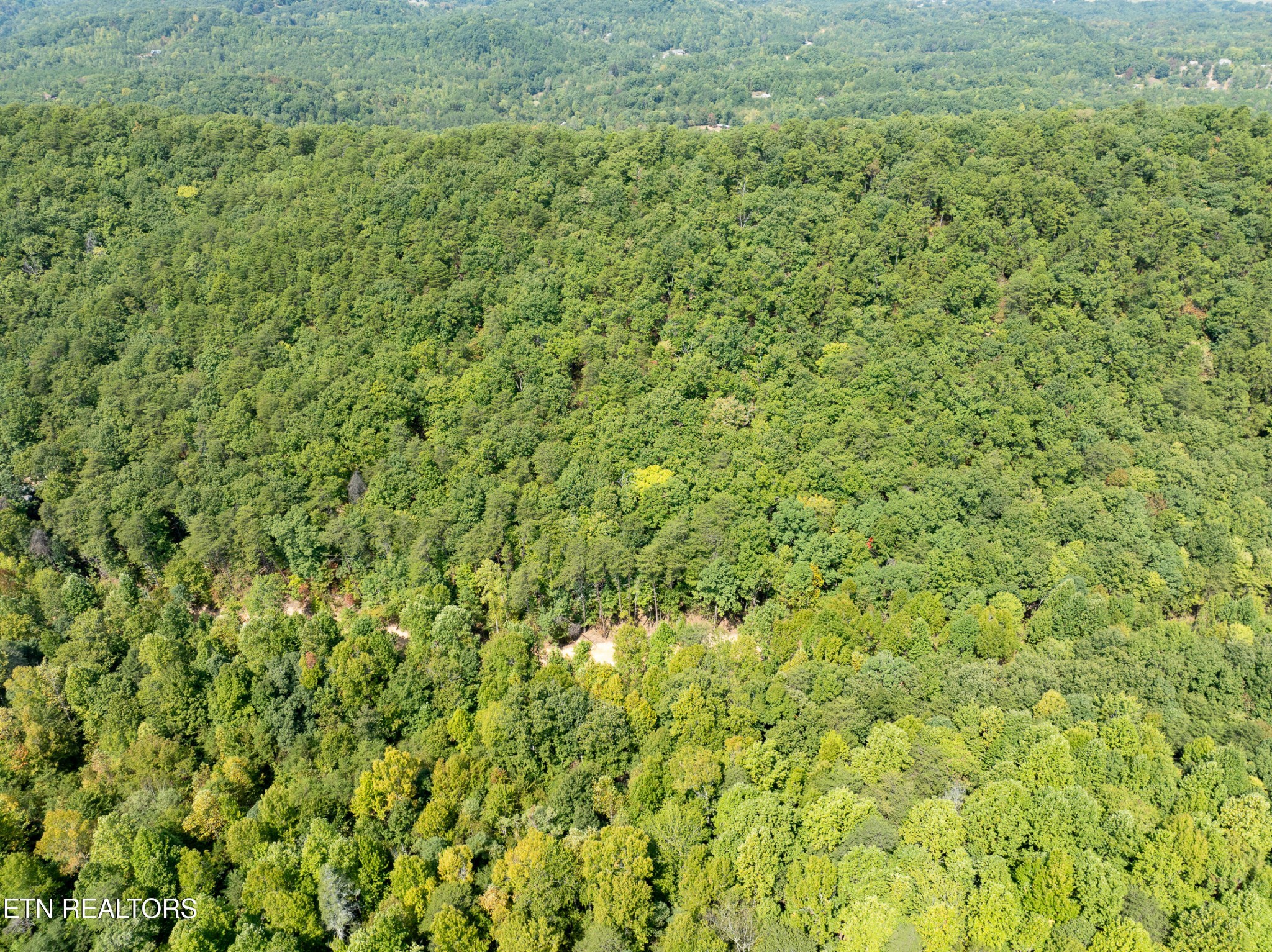 0 Butterfly Hollow Road Maryville, TN 37803 - Photo 8 of 16 Gallery Image 8