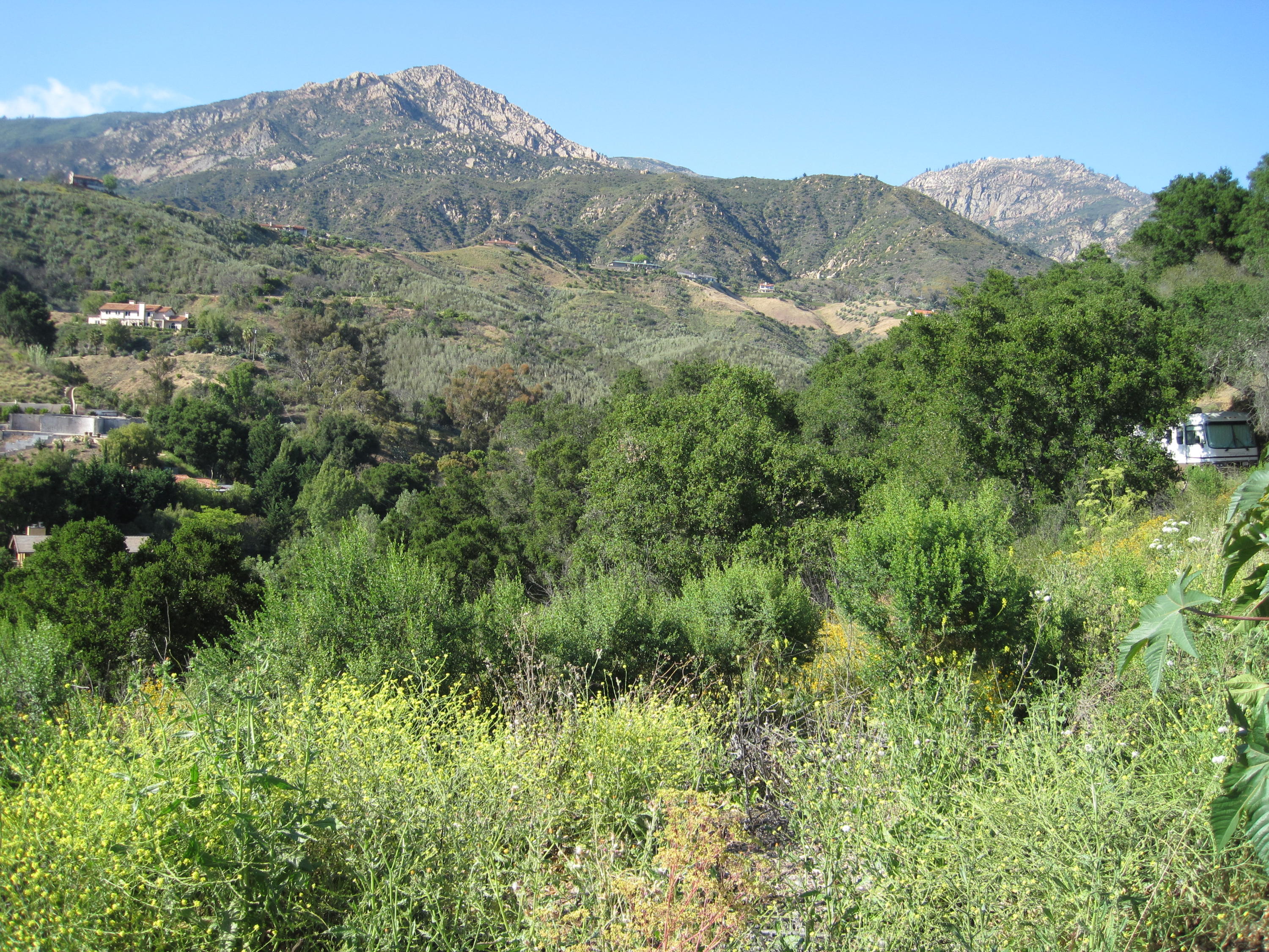 1550 San Roque Road Santa Barbara, CA 93105 - Photo 4 of 5 a view of a mountain in the distance in a field