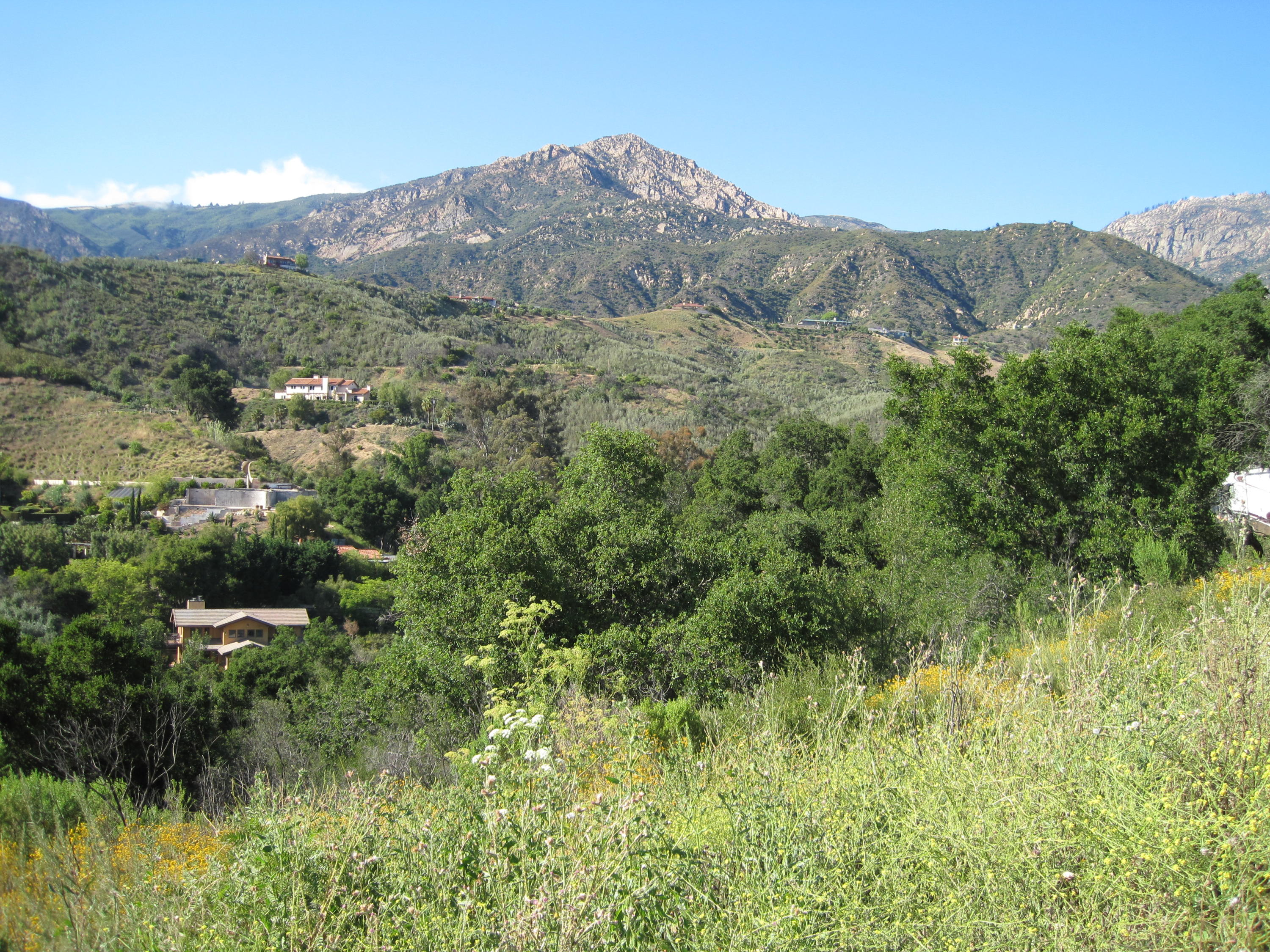 1550 San Roque Road Santa Barbara, CA 93105 - Photo 5 of 5 a view of a lush green field with mountains in the background