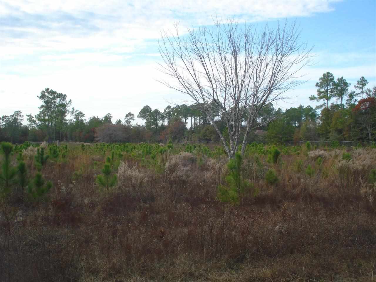 6083 Riverchase Road Milton, FL 32583 - Photo 6 of 8 Gallery Image 6
