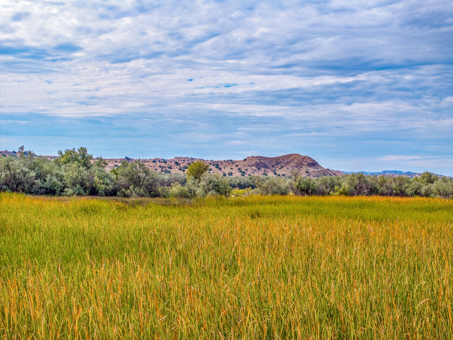 12 Sparkling Moolah Road Pena Blanca, NM 87041 - Photo 22 of 24