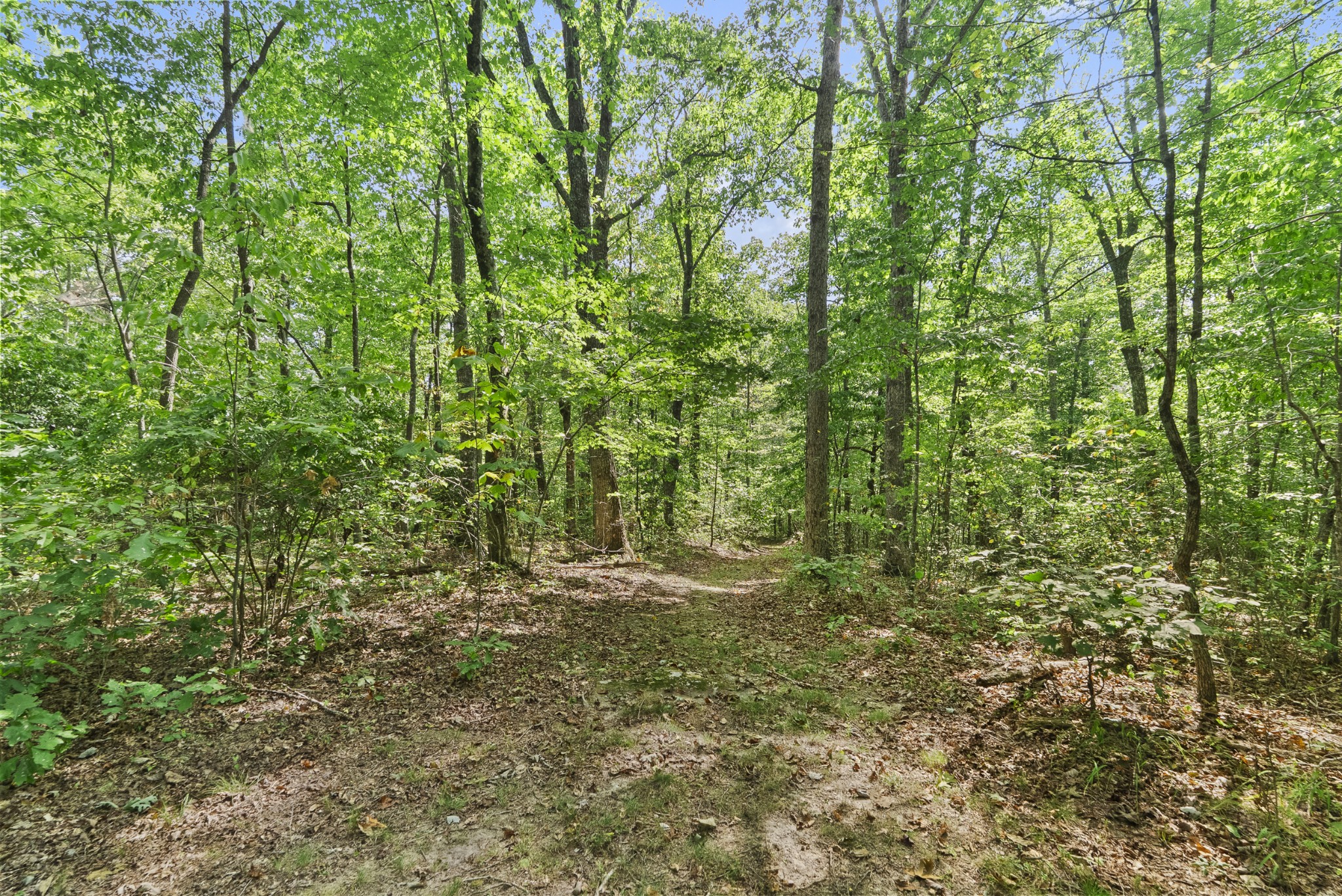 625 Meadows Road Sparta, TN 38583 - Photo 30 of 87 Gallery Image 30