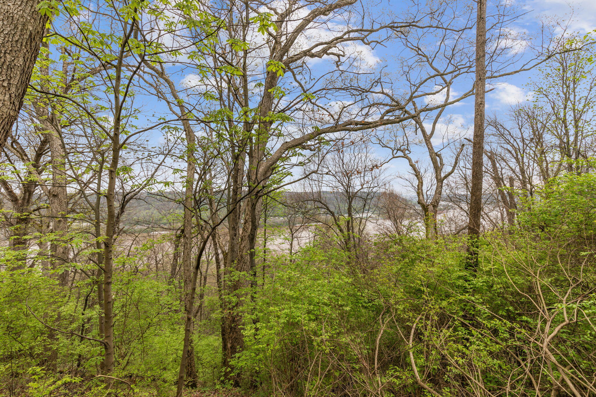 4231 River Road, Unit PARCELABC Hebron, KY 41048 - Photo 4 of 23