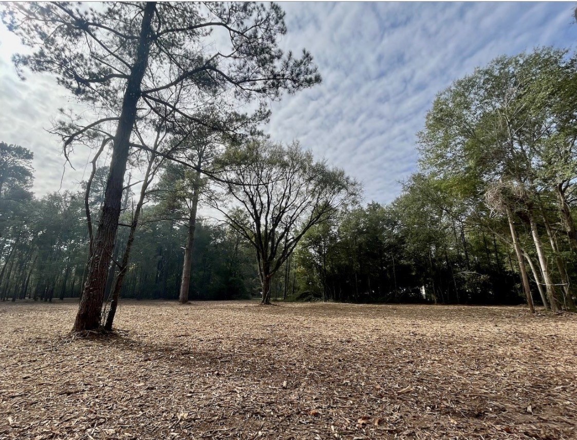 10690 Waukegan Road Conroe, TX 77306 - Photo 5 of 7 a view of a yard with trees