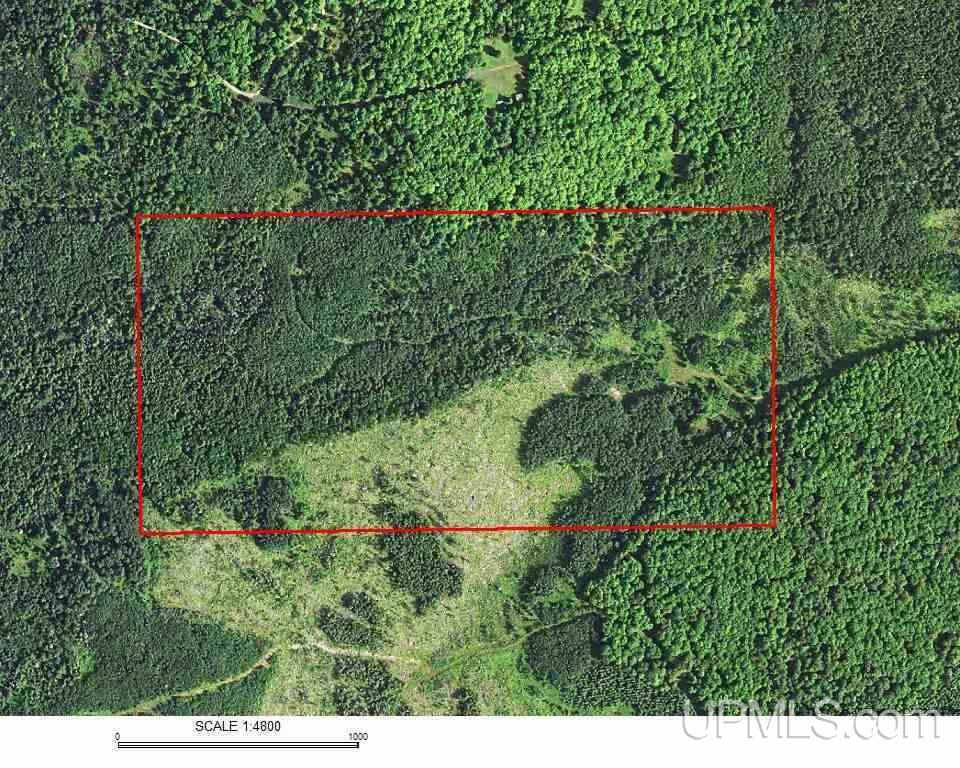80-acres Old CC Road Vulcan, MI 49892 - Photo 23 of 24