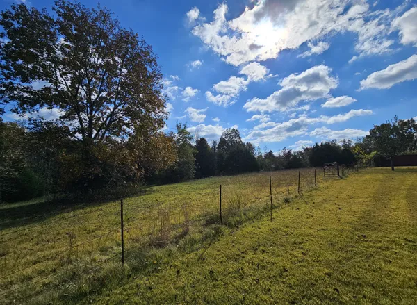 a view of grassy field with trees