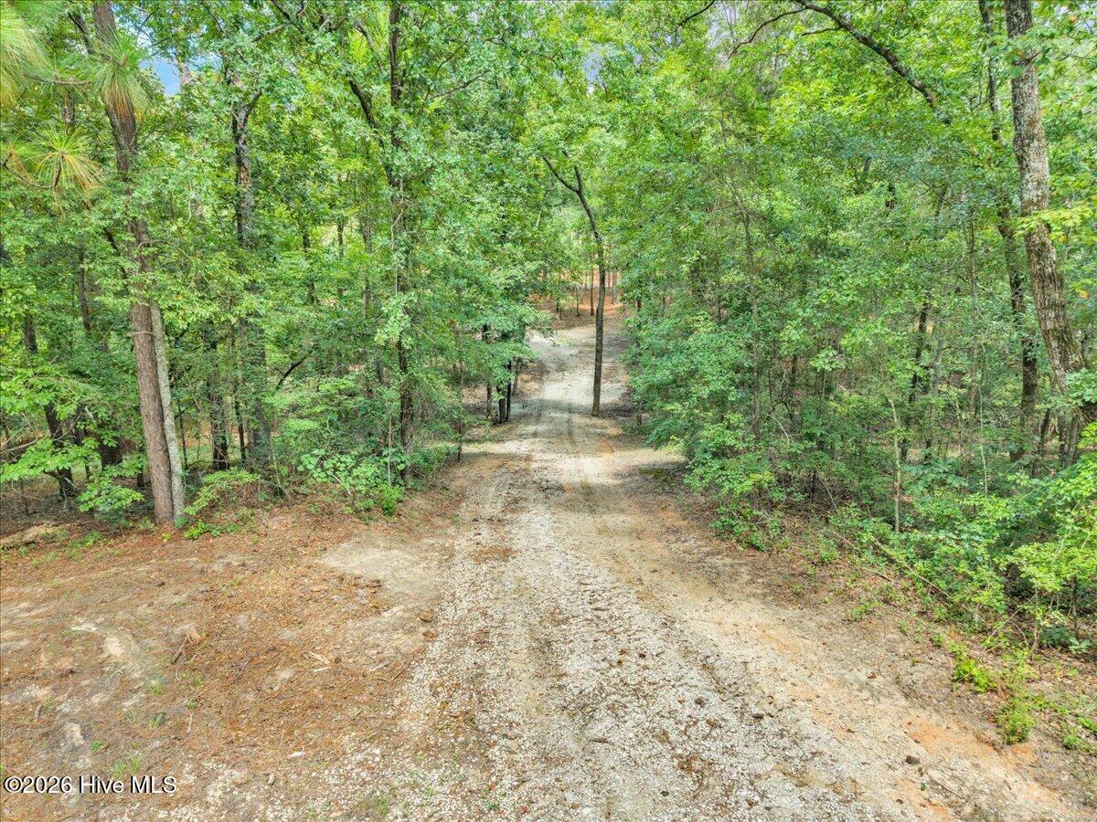 4359 Storm Branch Road Aiken, SC 29803 - Photo 4 of 45 Gallery Image 4