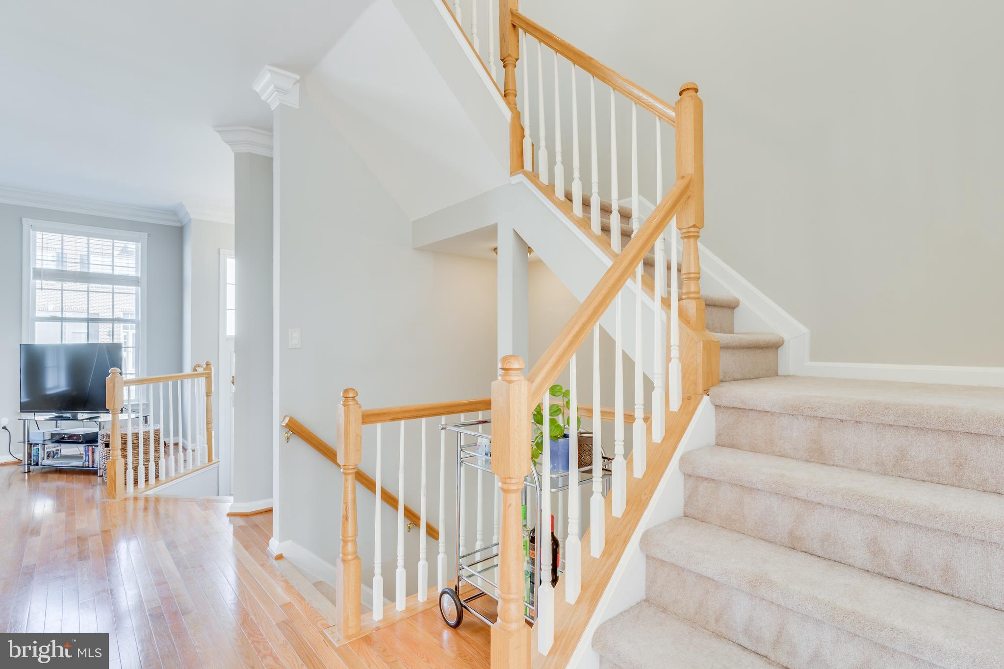 21075 Roaming Shores Terrace Ashburn, VA 20147 - Photo 16 of 43 Stairway