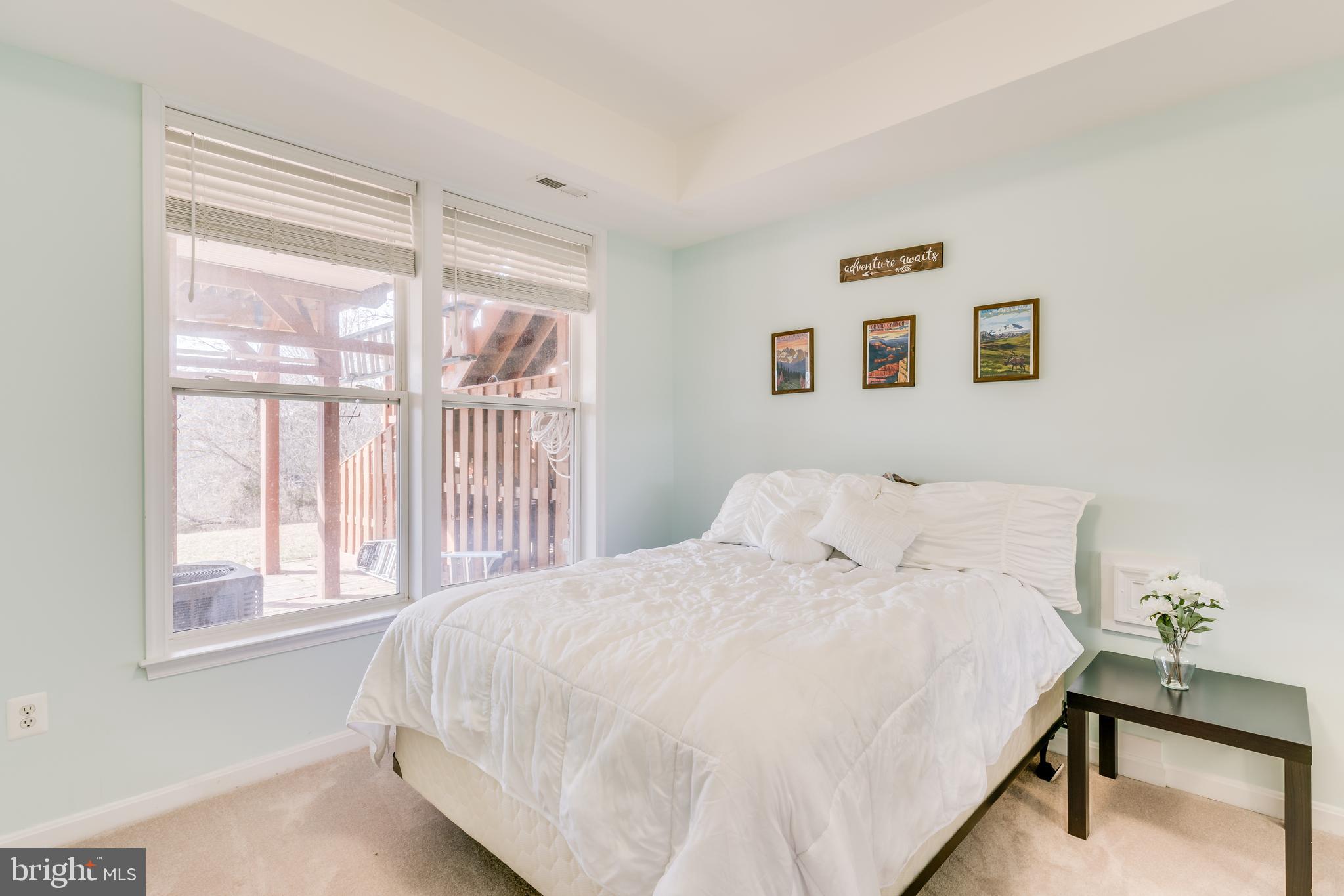 21075 Roaming Shores Terrace Ashburn, VA 20147 - Photo 23 of 43 Fourth bedroom