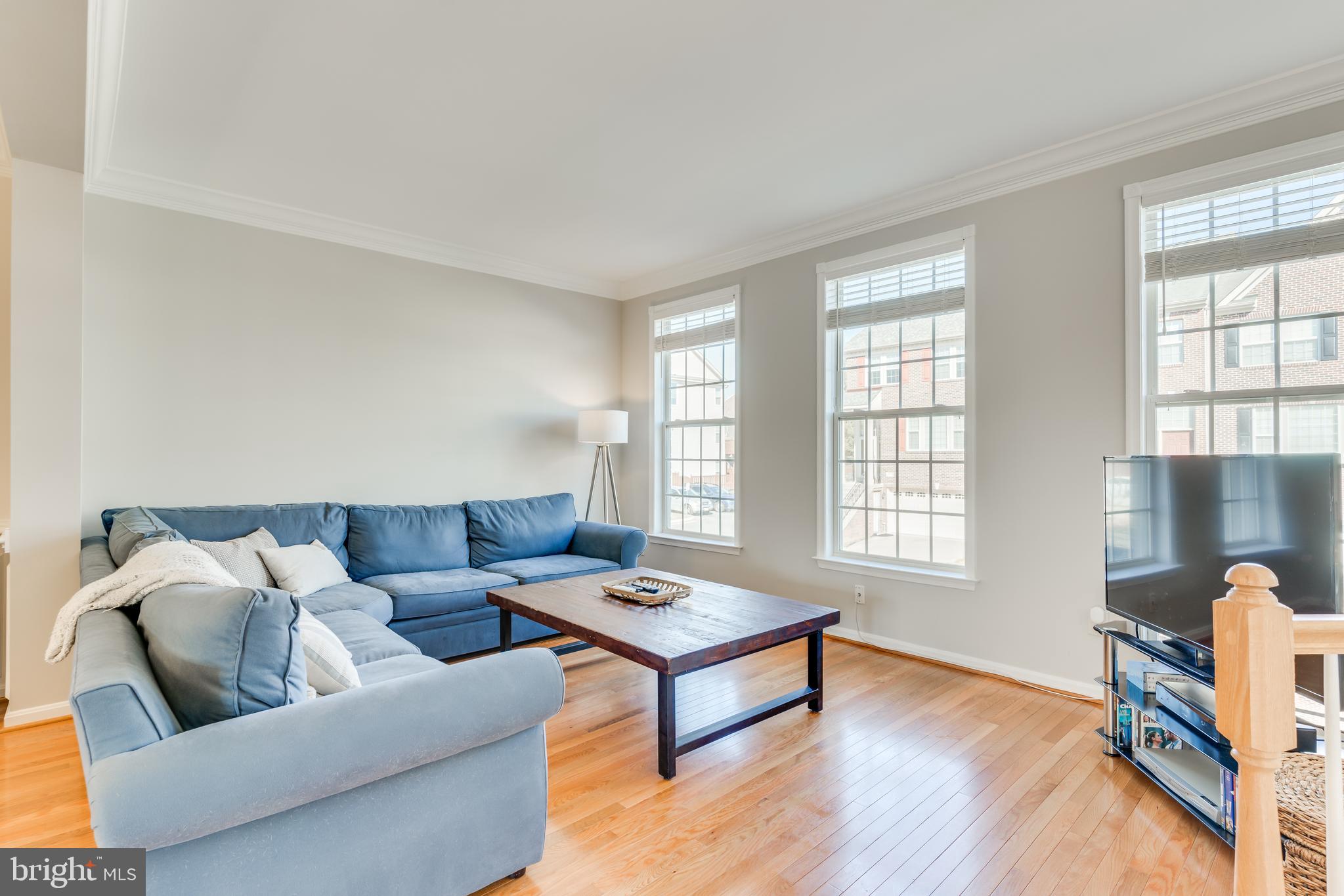 21075 Roaming Shores Terrace Ashburn, VA 20147 - Photo 4 of 43 Living room