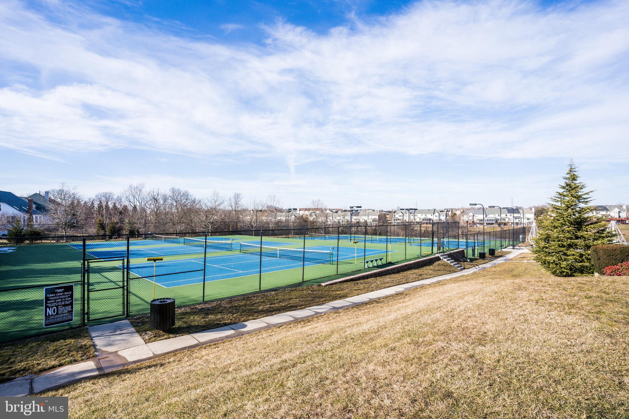 21075 Roaming Shores Terrace Ashburn, VA 20147 - Photo 34 of 43 Community