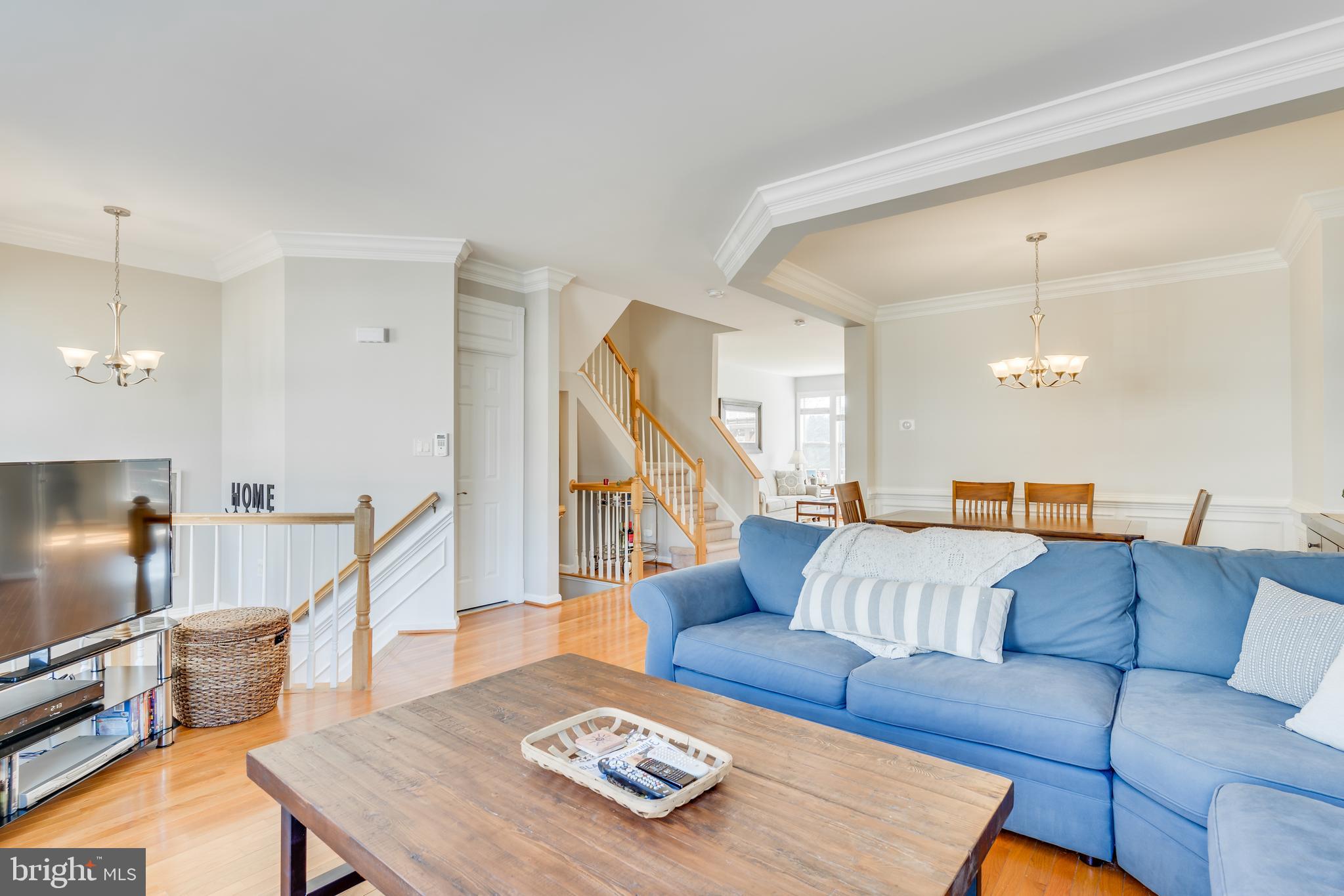 21075 Roaming Shores Terrace Ashburn, VA 20147 - Photo 5 of 43 Living room
