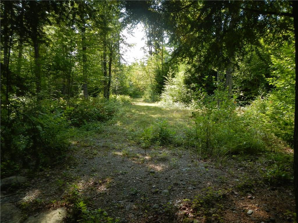 Tbd Tbd Eskutassis & Spruce Point Road Lowell, ME 04493 - Photo 20 of 23 Photo